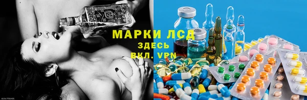 jwh Алзамай
